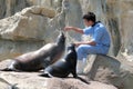 Two sea lions having breakfast at Ocean Park