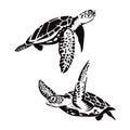 Two sea turtle swimming silhouette Royalty Free Stock Photo