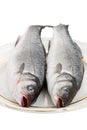 Two Seabass Fish On A Plate Royalty Free Stock Photo