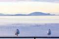 Two seabirds face camera infront of islands and the sea