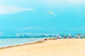 Two seagulls flying over beautiful greek beach, travel concept Royalty Free Stock Photo