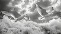 Two Seagulls Flying Over a Stormy Ocean Royalty Free Stock Photo
