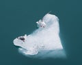 Two Seagulls on an Iceberg