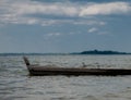 Two seagulls at a lake - on the water, sitting in a boat, and standing on the boat Royalty Free Stock Photo