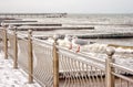 Two seagulls sitting on a fence Royalty Free Stock Photo