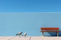 two seagulls standing next to a blue wall and a bench