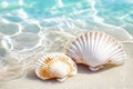 Seashells on the Beach Royalty Free Stock Photo