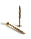 Two self-tapping screws