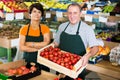 Two sellers are offering red tomatos