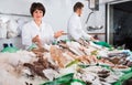 Two sellers posing near display with frozen fish Royalty Free Stock Photo