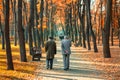 Two senior friends man walking along beautiful colorful autumn city park. Pair of old age persons talking during walk at beautiful