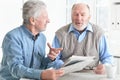 Two senior men sitting at table and discussing news Royalty Free Stock Photo