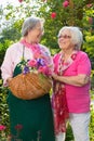 Two senior women with basket standing in garden