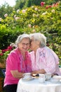 Two senior women chatting in garden Royalty Free Stock Photo