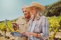 Two serious senior farmers standing and talking while using laptop on a vineyard. Elderly man and woman pointing at Royalty Free Stock Photo