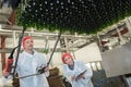 two serious workers doing their job on factory production line Royalty Free Stock Photo