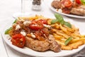 Two Servings of Pork Chops with Fries Royalty Free Stock Photo