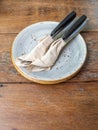 Two set of clean fork and knife wrapped in tissue napkin in the ceramic dish Royalty Free Stock Photo