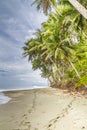 Two sets of footprints on a tropical palm fringed beach Royalty Free Stock Photo