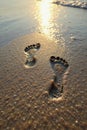 Two sets of parallel footprints in wet sand, tide s edge , peaceful, footprints Royalty Free Stock Photo