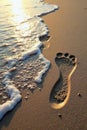Two sets of parallel footprints in wet sand, tide s edge , water, texture, ocean Royalty Free Stock Photo