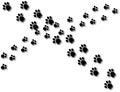 Two sets of paw prints cross path background cartoon