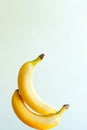 two sexy bananas touching each other. happy Banana fruits levitation on white background