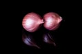 Two shallot onions Royalty Free Stock Photo