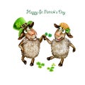Two sheep celebrate St. Patrick`s Day Royalty Free Stock Photo