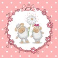 Two Sheep Royalty Free Stock Photo