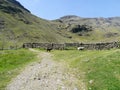 Two sheep infront of sheepfold with mountains behind Royalty Free Stock Photo