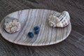 two shells and three fresh blue blueberries on the soup container, close up Royalty Free Stock Photo