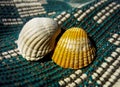 Sea shells on a natural cotton material