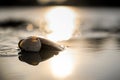 Two shells in the water at the beach at sunset Royalty Free Stock Photo