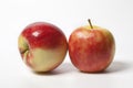 Two shiny Elstar apples Royalty Free Stock Photo