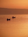 Fishnig boats in sunset at sea Royalty Free Stock Photo