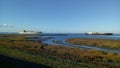 Two ships navigate along a green salt marsh in the westerschelde towards antwerp in february