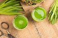 Two shots of barley grass juice with freshly harvested barley gr Royalty Free Stock Photo