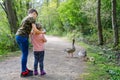 Two siblings kids, Cute little toddler girl and school boy feeding wild geese family in a forest park. Happy children Royalty Free Stock Photo