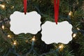 Two Sided Benelux Christmas Ornament Mockup