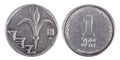 Isolated 1 Shekel - Both Sides Frontal