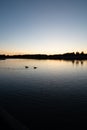 Two silhoettes of ducks on a calm lake as the summer sun sets in the university town of Lund, Sweden Royalty Free Stock Photo