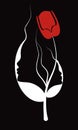 Two silhouette faces of girls from a flower. beautiful line of the female face. Red tulip and female face