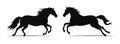 Two silhouette horses galloping side by side, black on white background. Equestrian elegance and dynamic motion vector Royalty Free Stock Photo