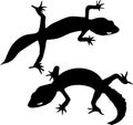 Two silhouettes of gecko Royalty Free Stock Photo