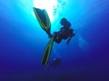 Two silhouettes of Scuba Divers swimming over the live coral reef full of fish sea anemones.