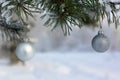 Two Silver Balls on Pine Tree Royalty Free Stock Photo