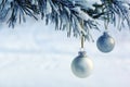 Two Silver Balls on Pine Tree in Winter Forest Royalty Free Stock Photo