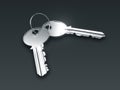 Two silver keys Royalty Free Stock Photo