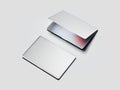 Two silver laptops. 3d rendering